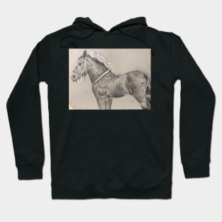 Dapple Grey Shire Horse Hoodie